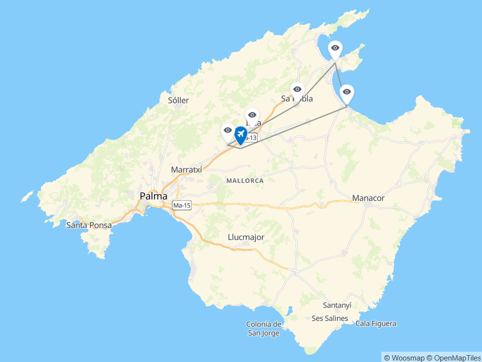 Mapa de ruta del vuelo